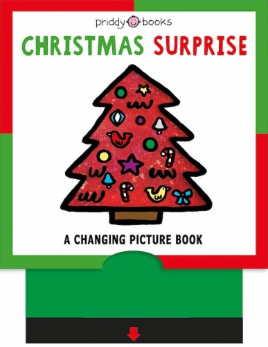 Christmas Surprise. A Changing Picture Book